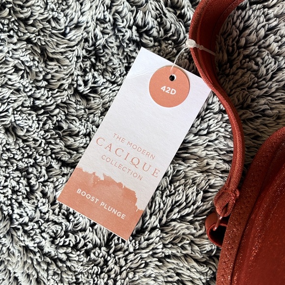 Lane Bryant Boost Plunge Bra - Picture 3 of 3